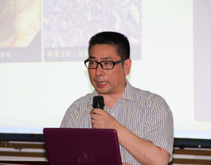 张亚历