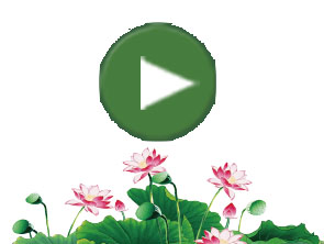黄丝带公益活动直播