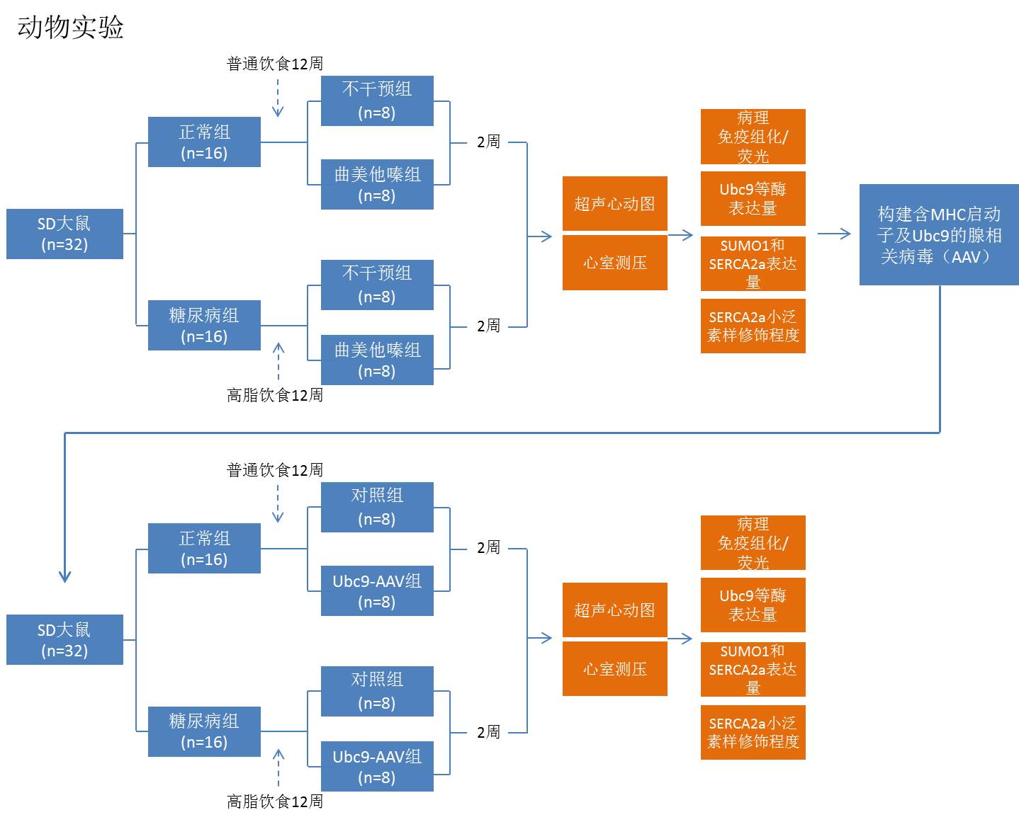 2.2技术路线及实验方案